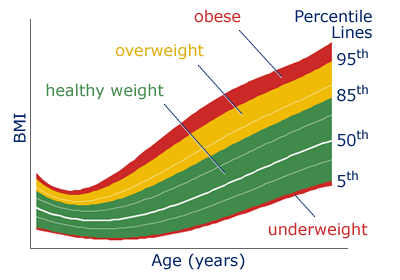 95th Percentile On The Growth Charts