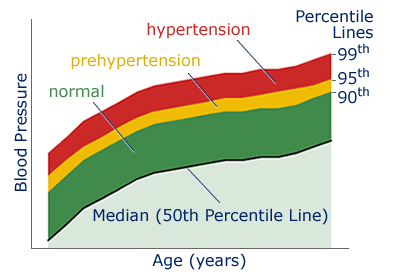 95th Percentile On The Growth Charts