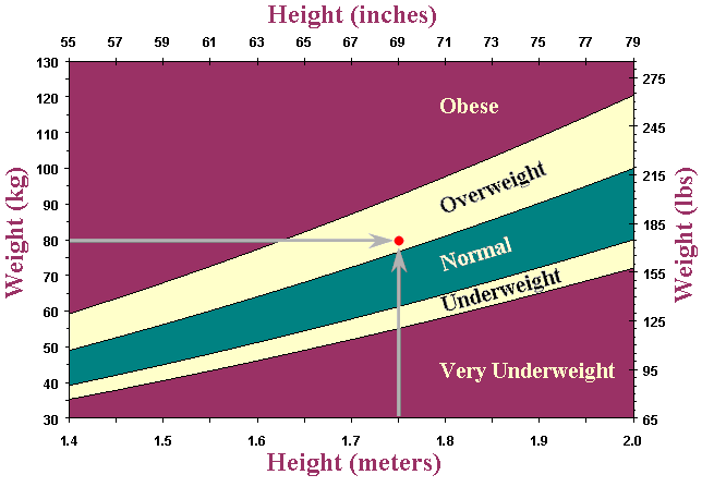 Ht Chart