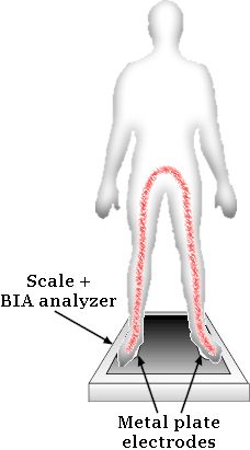 leg to leg bia