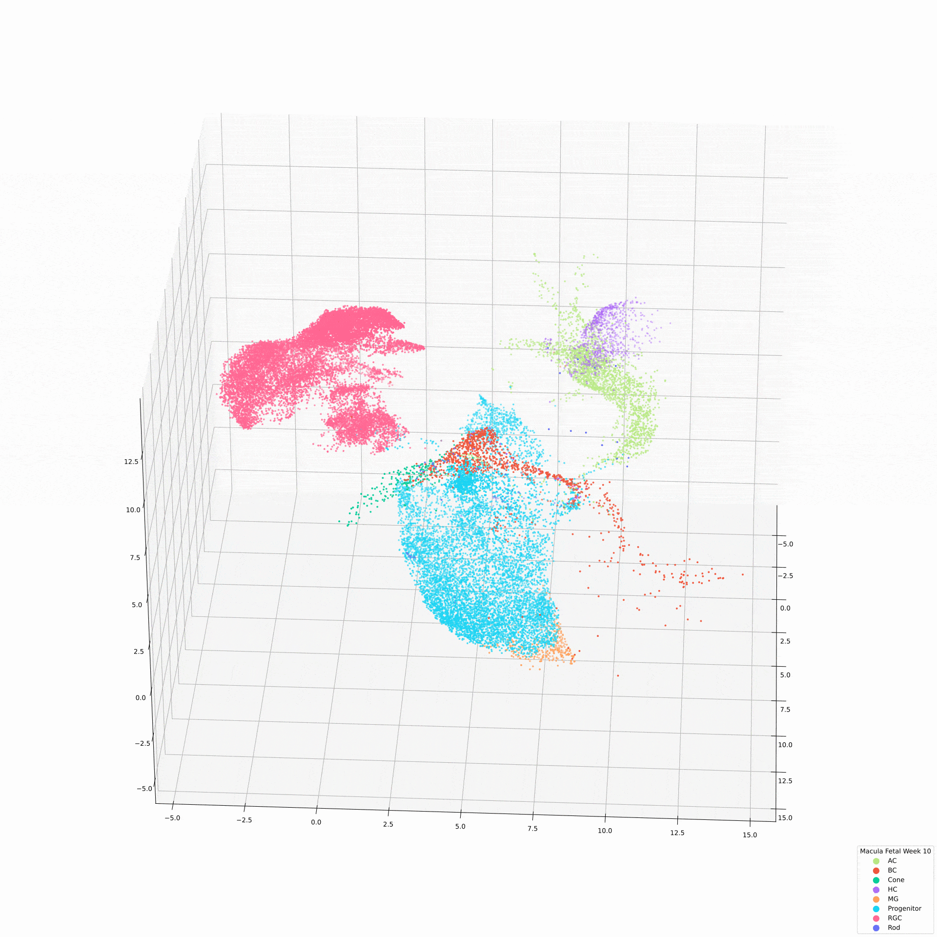 3D UMAP embedding of the human fetal Macula and peripheral retina, with individual cells colored by annotated cell types.