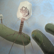 Viruses