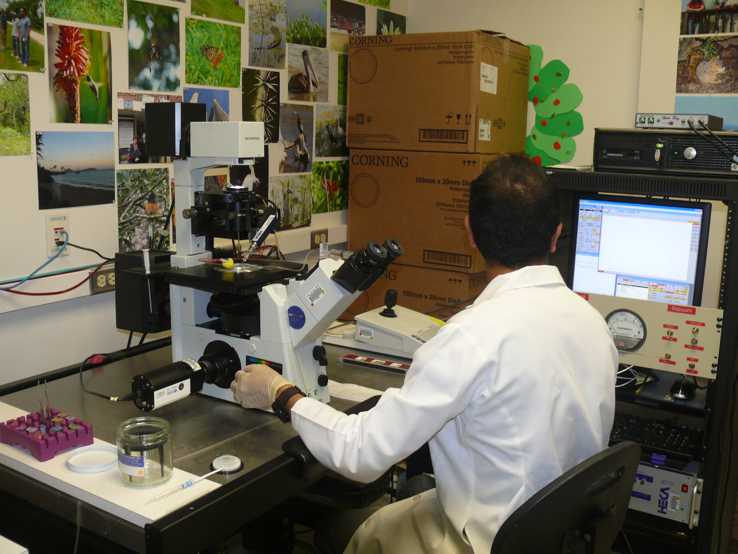 person sitting in lab looking at microscope equipment