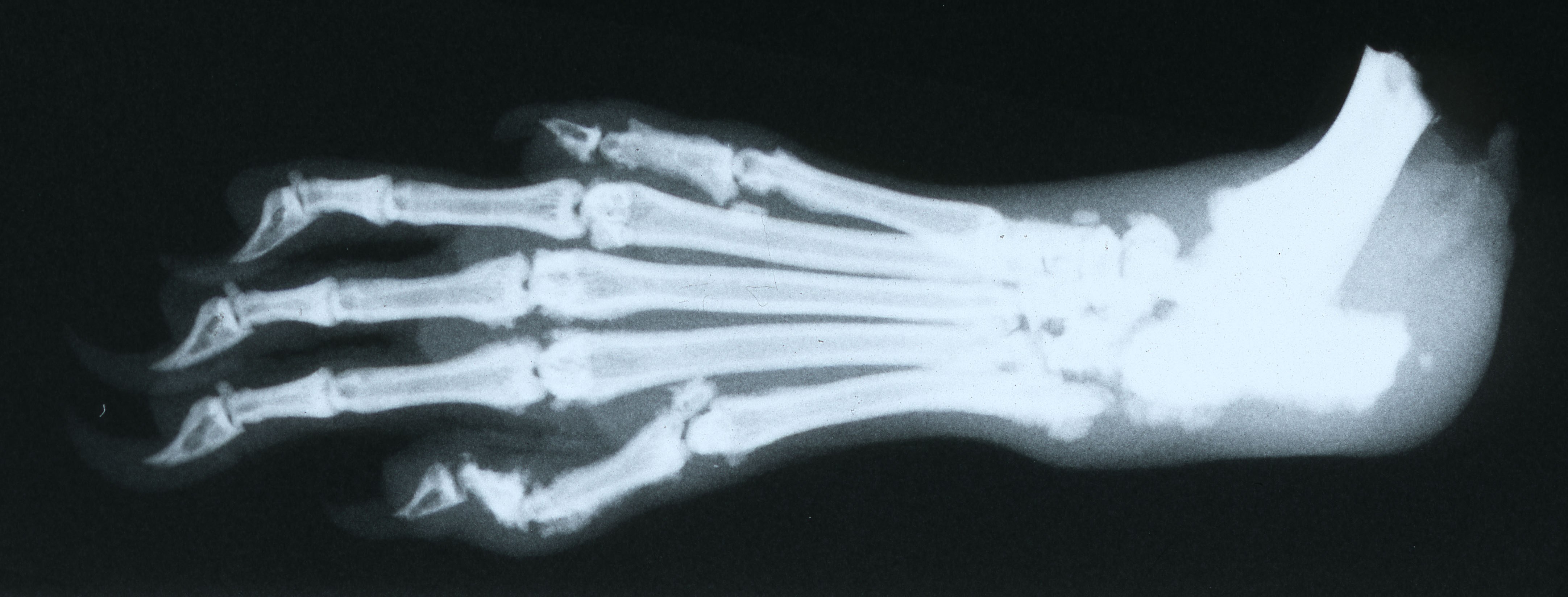 cb-photo3 for resources