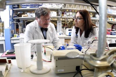 Hotez Bottazzi lab