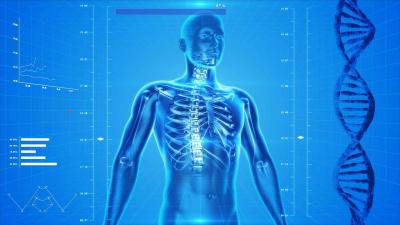 Skeleton and genetic testing