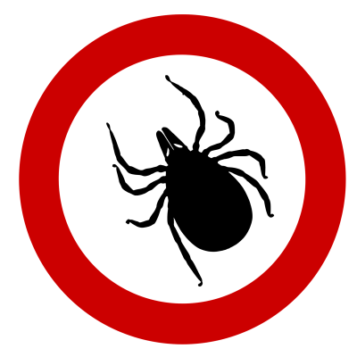 A drawing of a solid black tick with a red circle around it on a white background