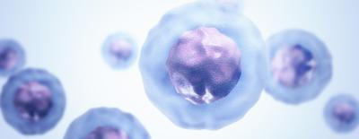 Human Cells