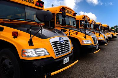 School buses lined up. 