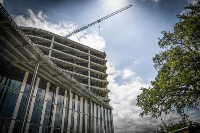 Tree topping event