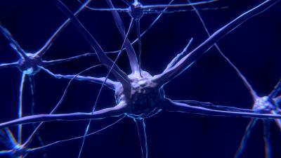 Artist rendition of a neuron