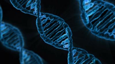 dna-163466-1280.jpg