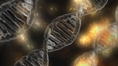 dna-stress-photo.png
