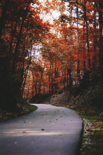 The cooler temperatures may be sending you outdoors, but it could also be the cause of your seasonal allergies.