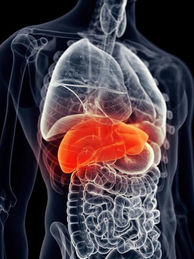 Hot Topics in Liver Disease Conference