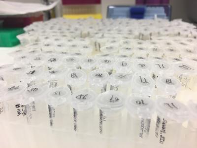 Caption sentence that describes the image or highlight some aspect about the lab research.