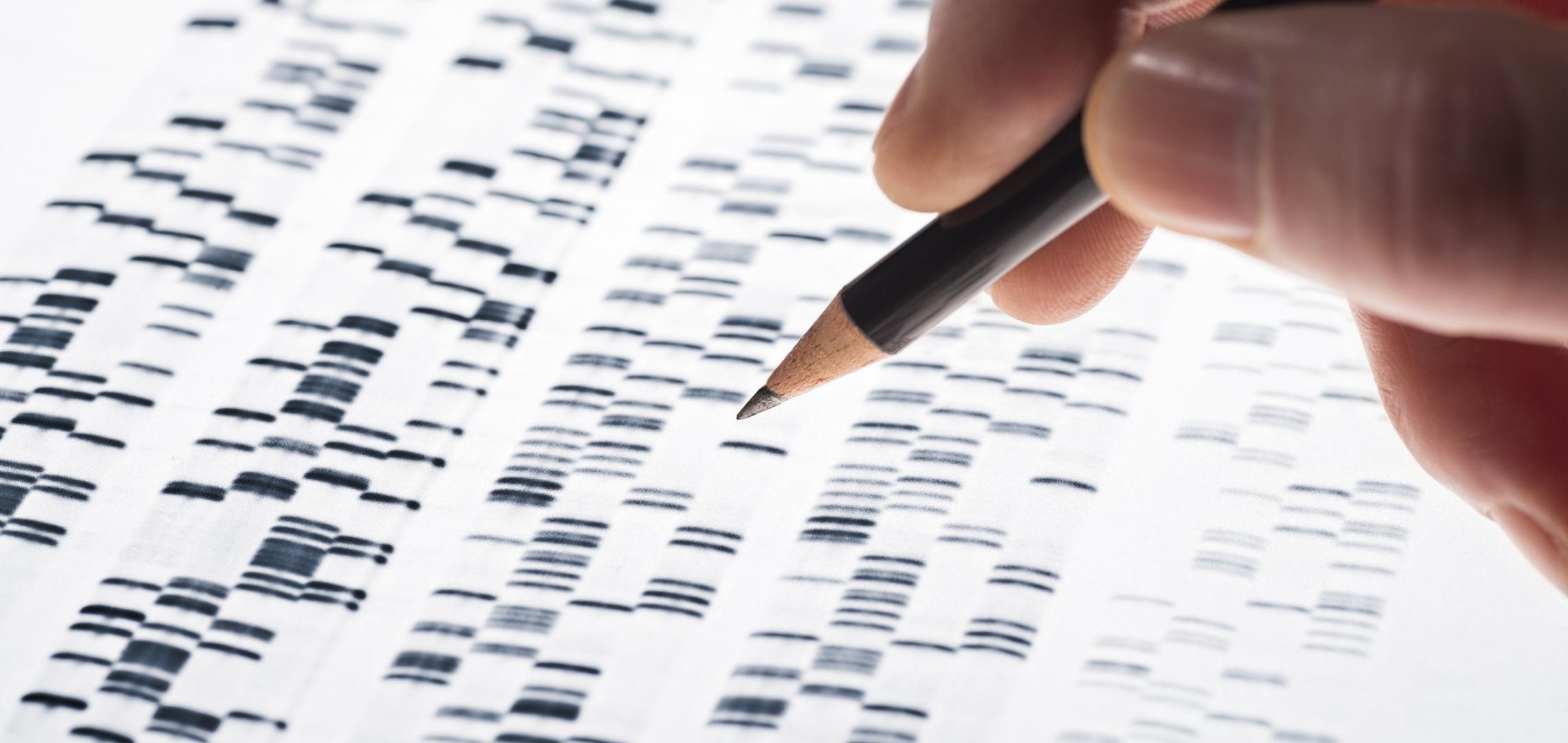 A hand holding a pencil over a printout of a genome