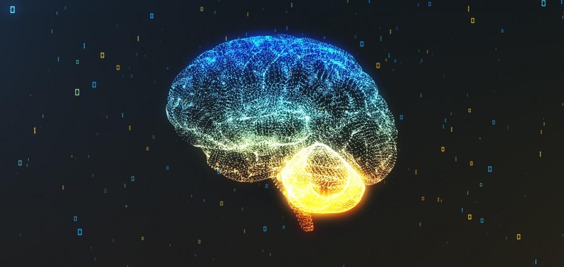 An illustration of the human brain.