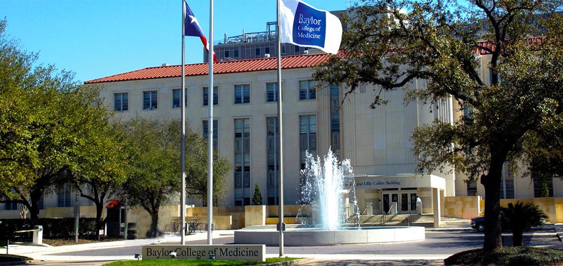 Cullen-home-page-banner