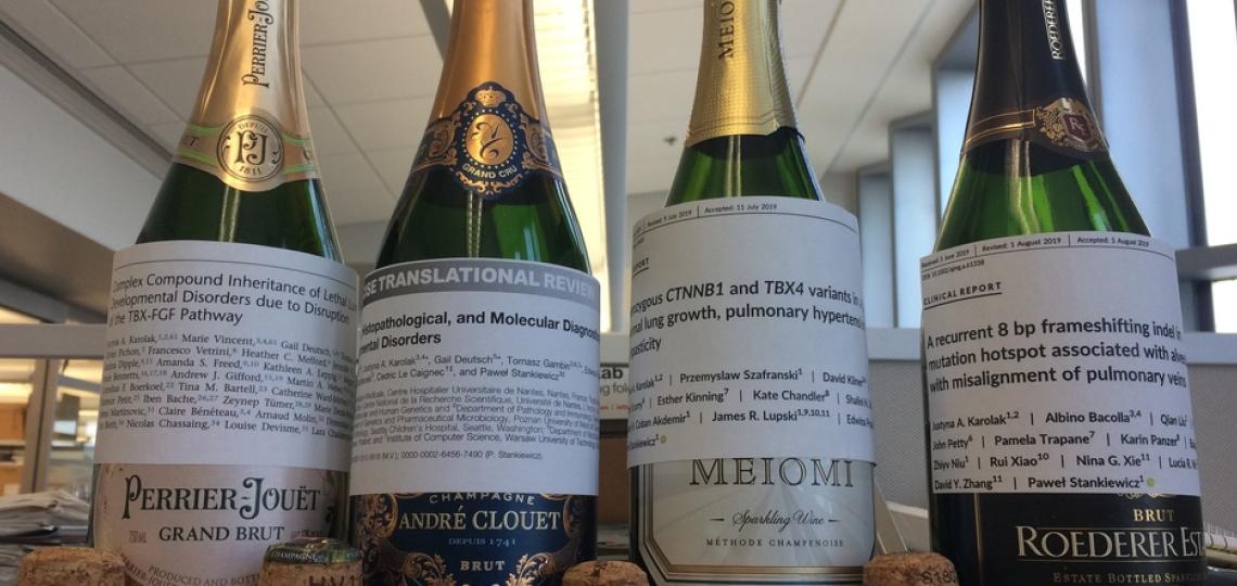 The lab celebrated Justyna Karolak's accepted papers. 