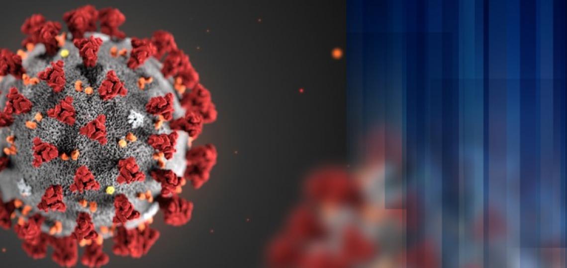 Health, Well-Being, & Family Impacts of the Coronavirus Disease 2019 (COVID-19) Pandemic