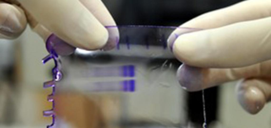 Tropical Diseases and Coronavirus Research