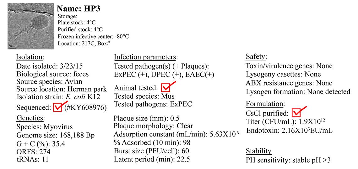 Screen Shot of Tailored Results