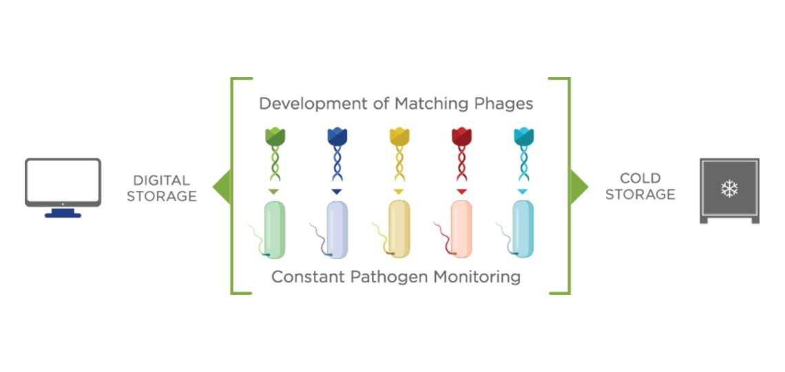 Tailor Library storage process