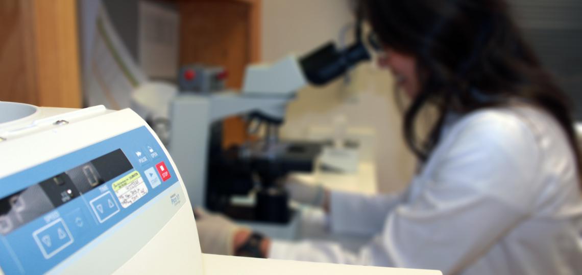 A lab technician looking through a microscope