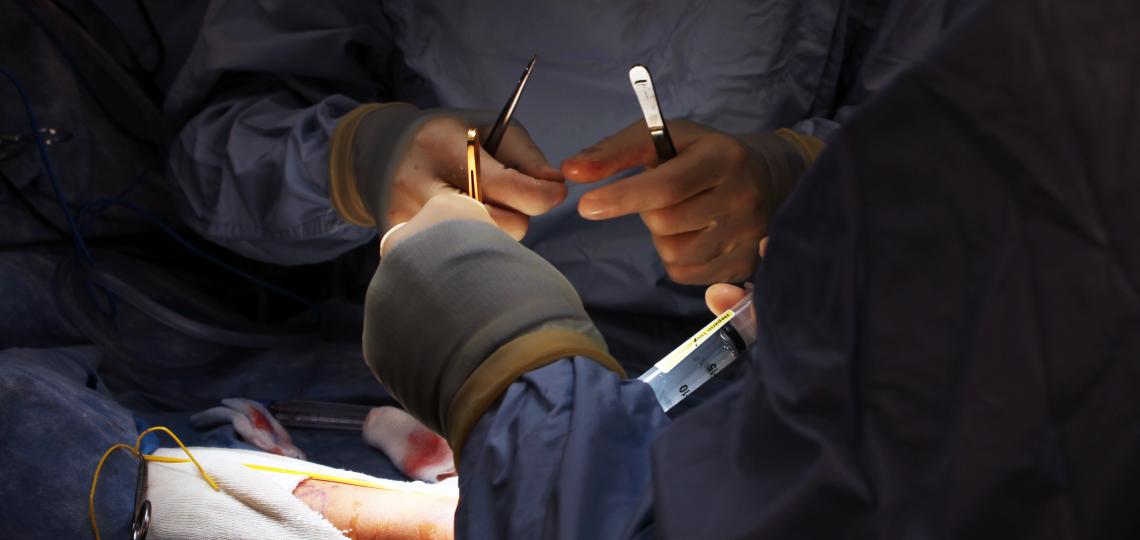 Hands in surgery