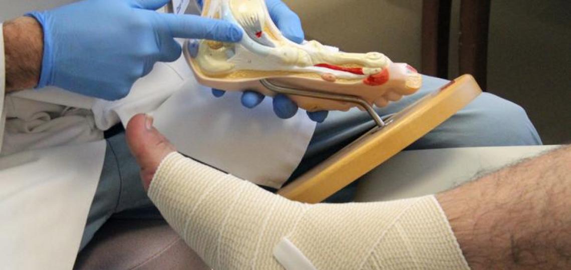 Vascular Surgery and Endovascular Therapy