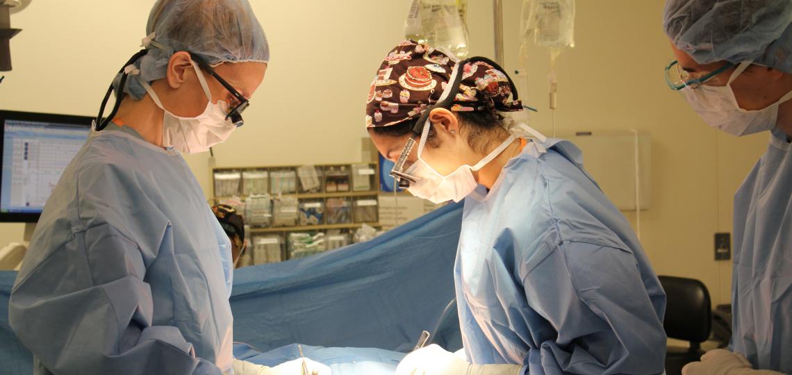 Abdominal Transplantation