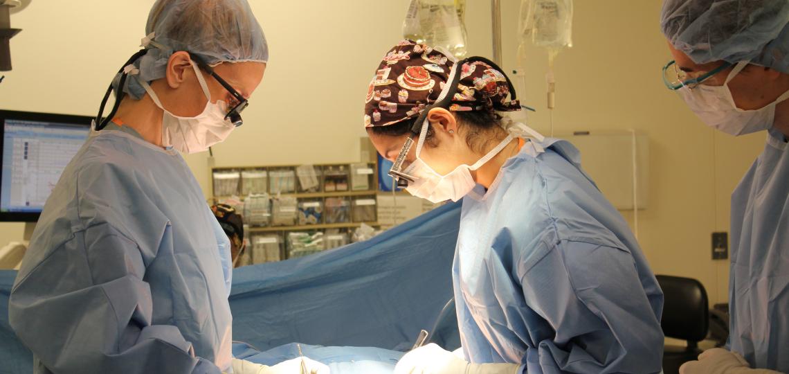 Abdominal Transplantation