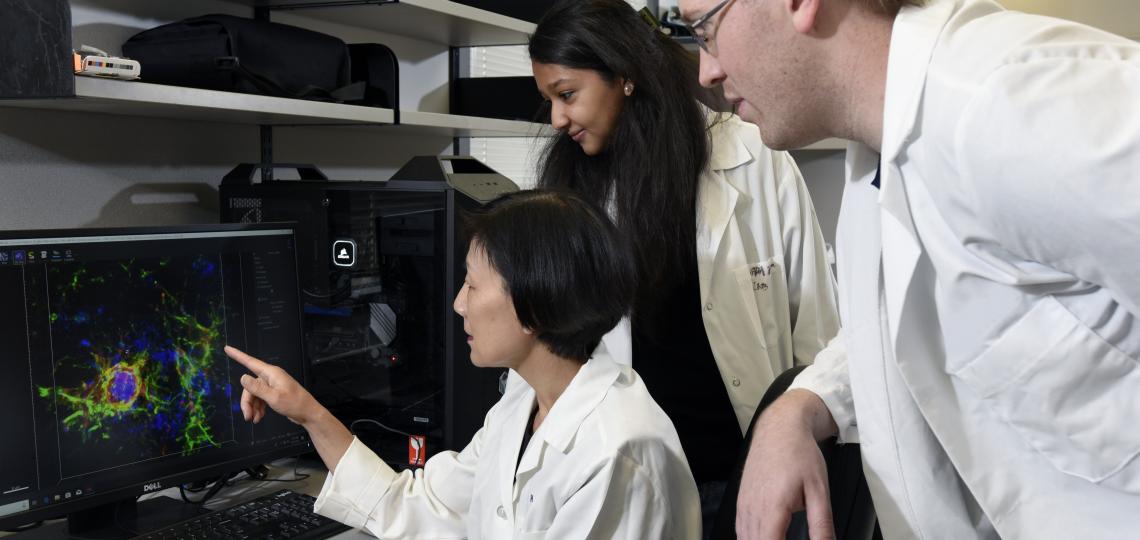 Graduate Students HCOA