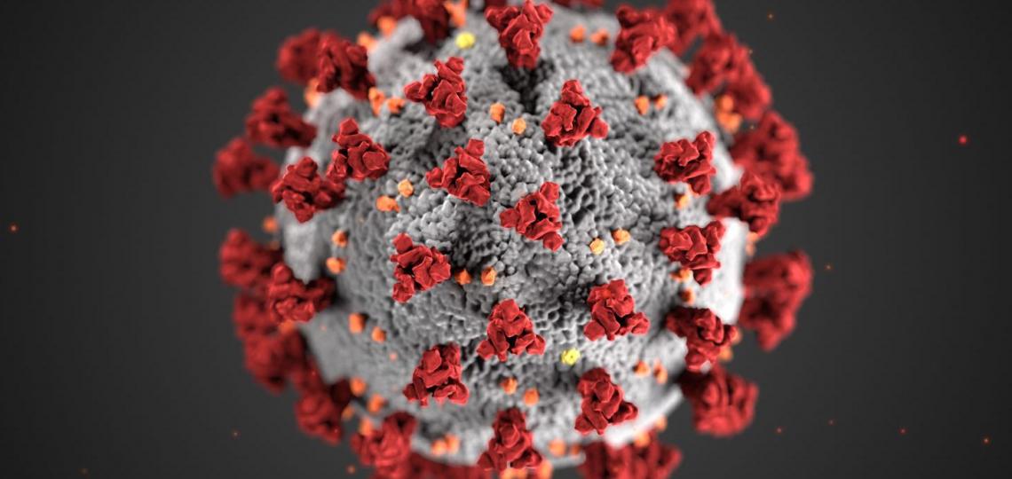 COVID-19 virus