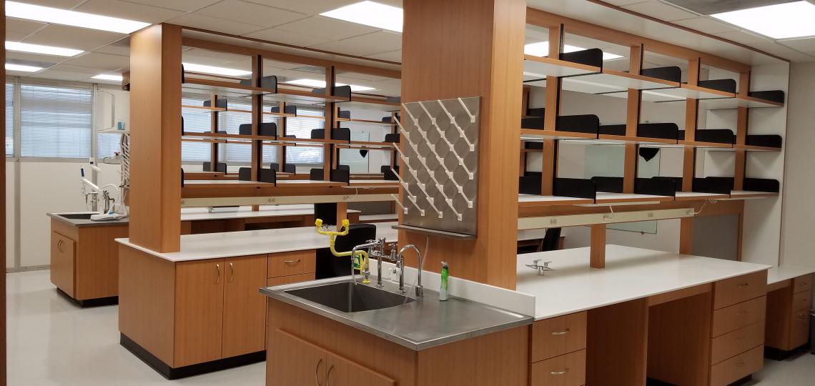 Orengo Lab Space