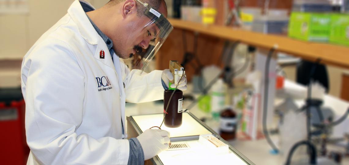 abdominal-transplant-research-photo