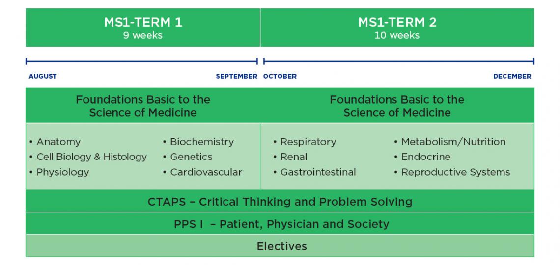 MD Program curriculum schematic for year 1-Fall
