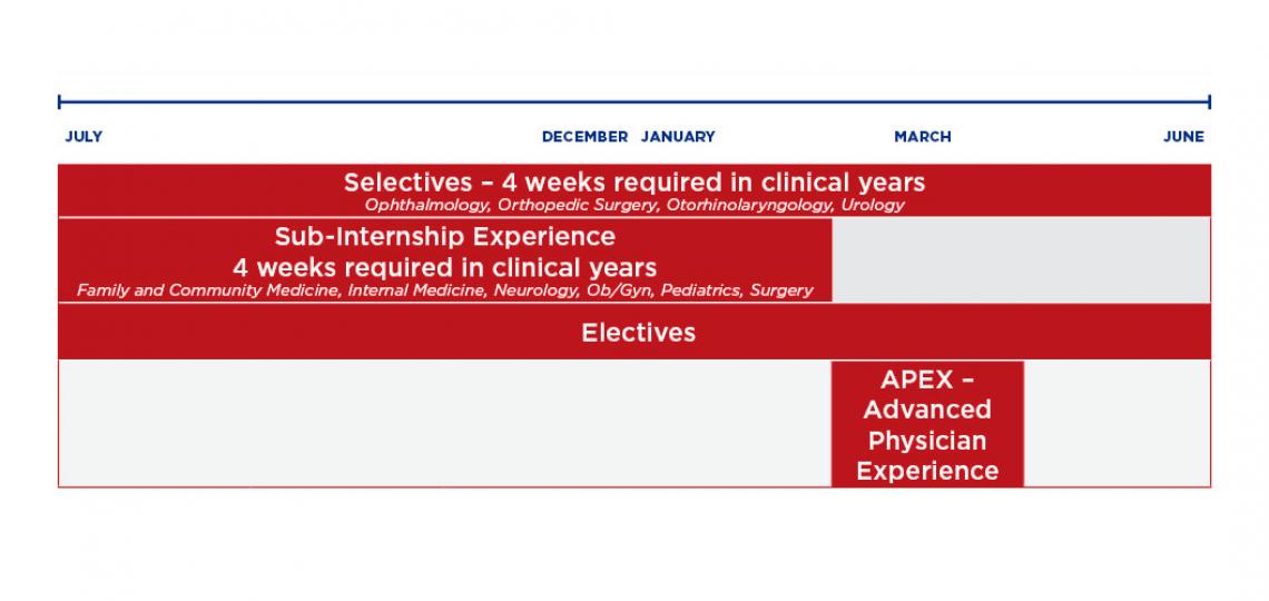 MD Program curriculum schematic for year four