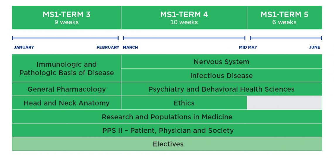 MD Program curriculum schematic for year 1- Spring