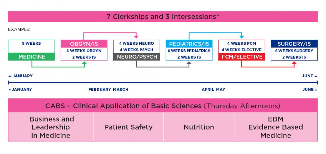 Curriculum diagram for Spring II Clinical Curriculum for M.D. students