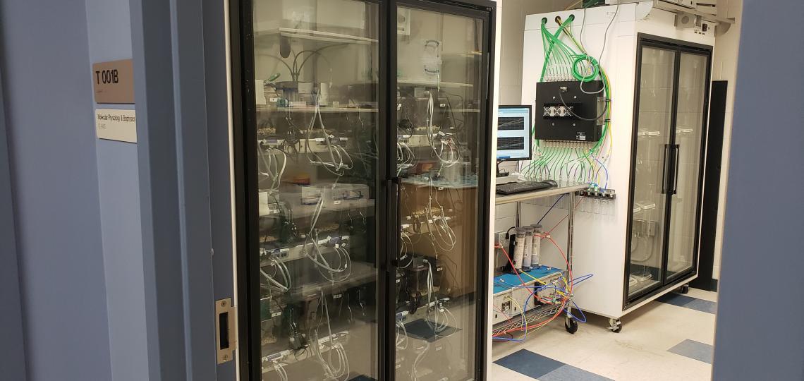 Mouse Metabolic and Phenotyping Core Lab