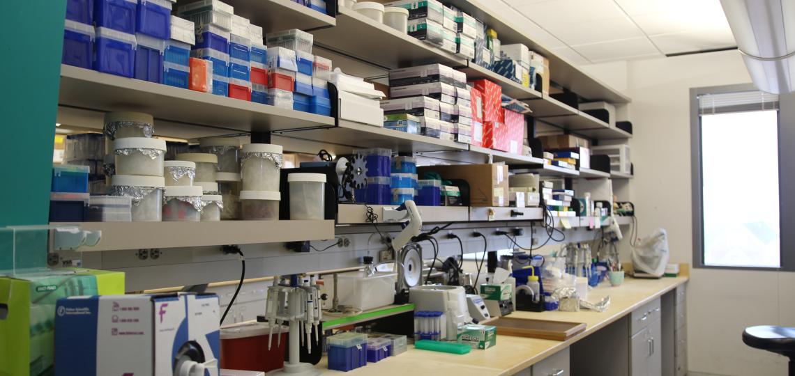 Rao Lab Research Bench