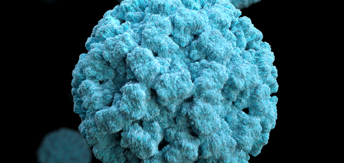 norovirus