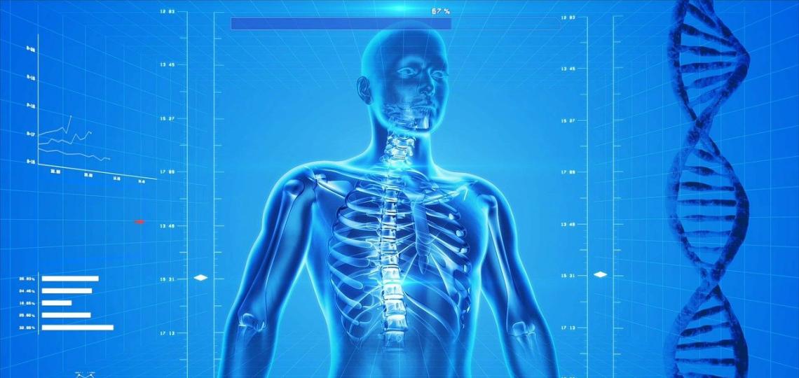 Skeleton and genetic testing