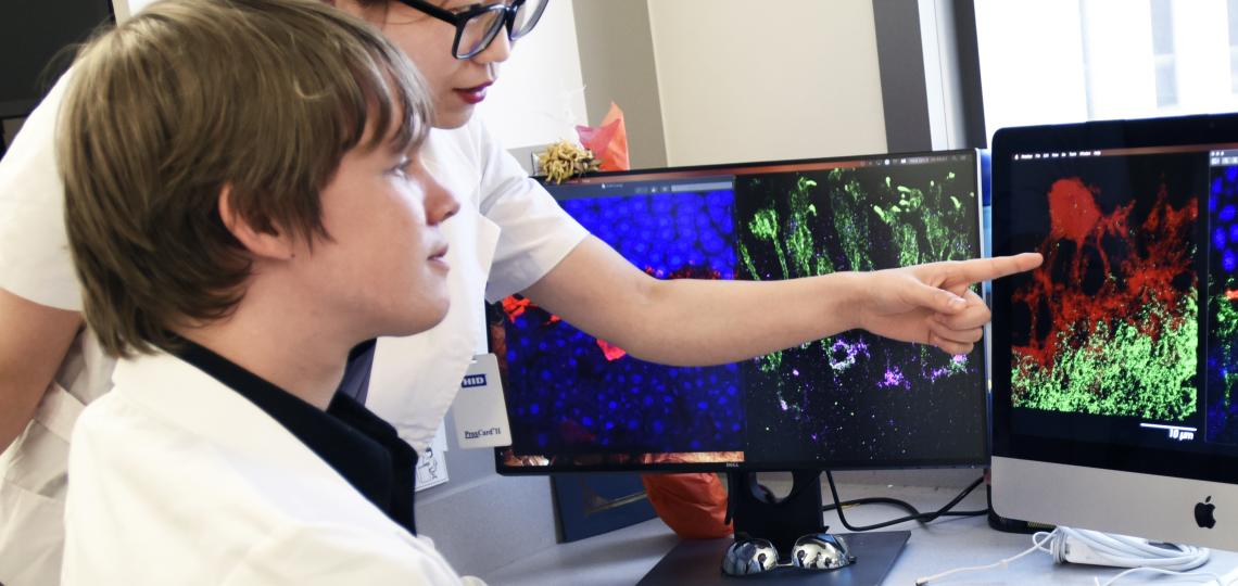 GSBS Biomed Fair 2022