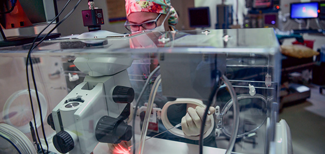 The lab for Baylor's Reproductive Endocrinology and Infertility specialists supports IVF and other assisted fertility procedures.