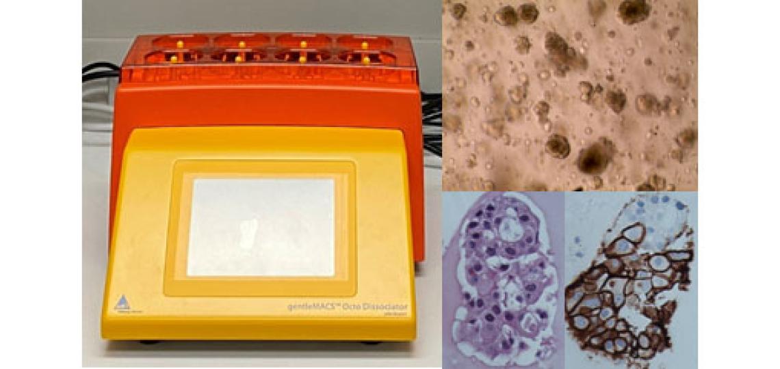 Photo of the GentleMACS Octo Dissociator with heaters 