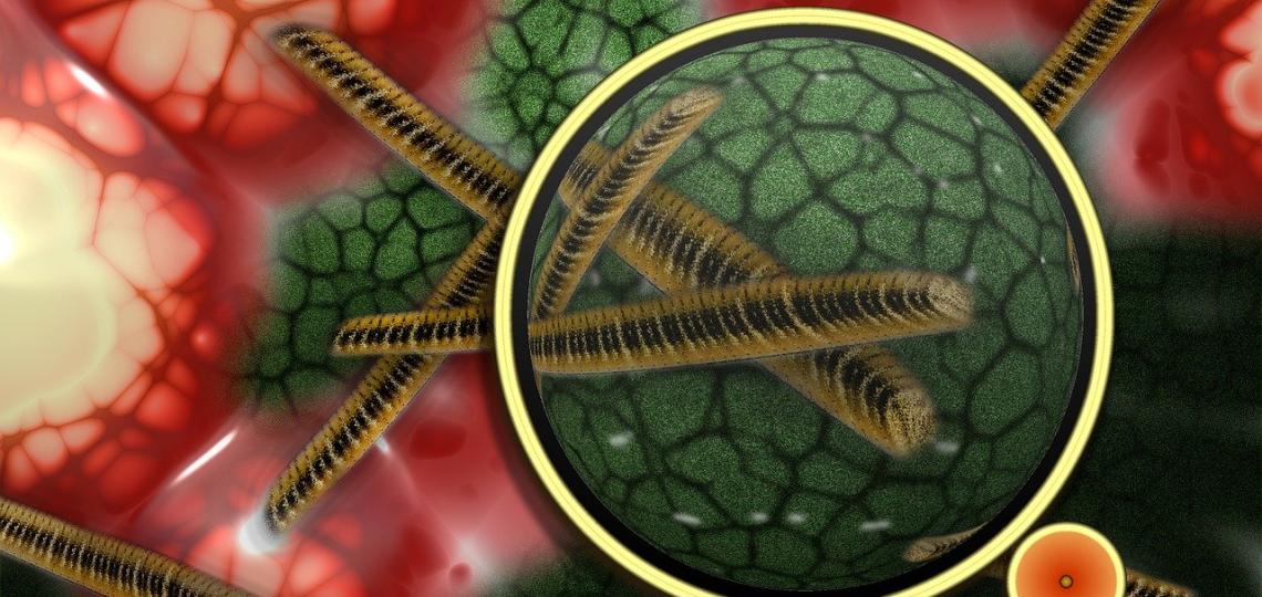 Artists depiction of bacteria under a microscope