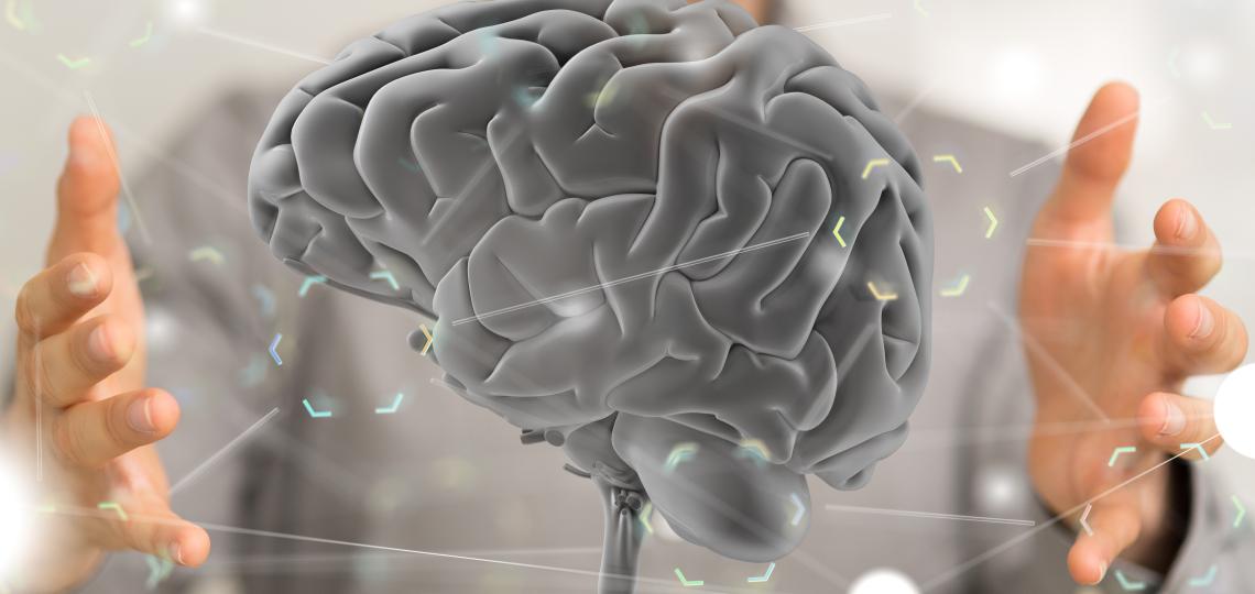 Photo of brain in between hands